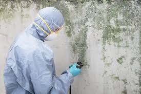 Best Forensic Mold Investigation in Williamsburg, PA